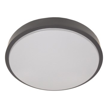 Plafonska svetiljka sa senzorom WILTON 2xE27/60W/230V prečnik 33 cm antracit