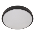 Plafonska svetiljka sa senzorom WILTON 2xE27/60W/230V, prečnika 33 cm, crna