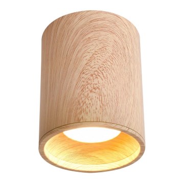 Plafonska svetiljka TUBA GU10/15W/230V