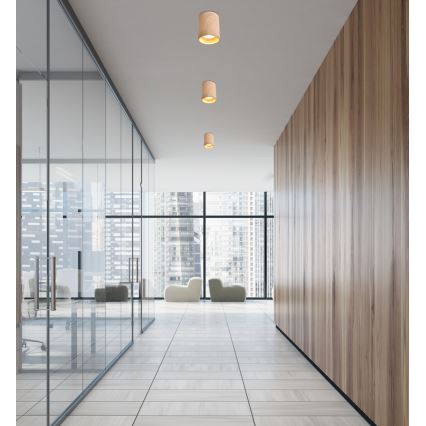 Plafonska svetiljka TUBA GU10/15W/230V