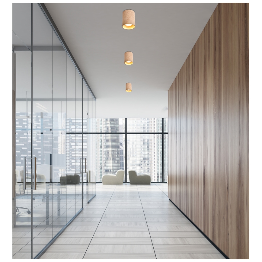 Plafonska svetiljka TUBA GU10/15W/230V