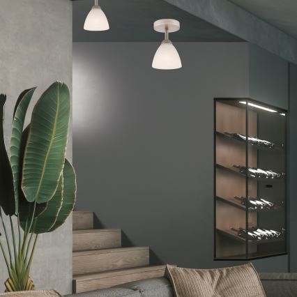 Plafonski luster ADRIANO 1xE27/60W/230V buk