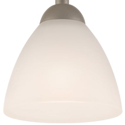 Plafonski luster ADRIANO 1xE27/60W/230V buk