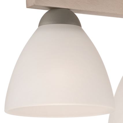 Plafonski luster ADRIANO 3xE27/60W/230V buk