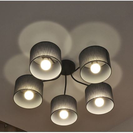 Plafonski luster ALBA 5xE27/15W/230V siv