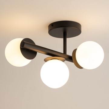 Plafonski luster AVOLA 3xG9/12W/230V crna
