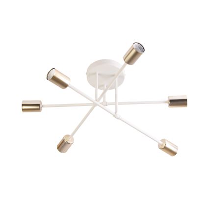 Plafonski luster CAMBRIDGE 6xE27/15W/230V mesing/bela