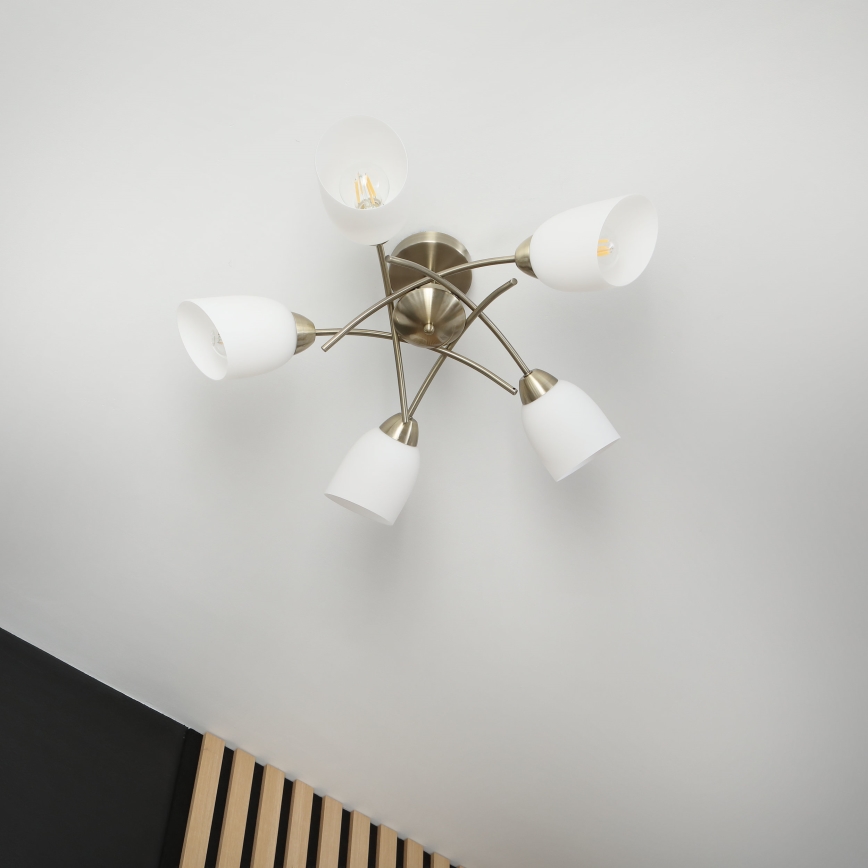 Plafonski luster DONNA 5xE27/60W/230V patina