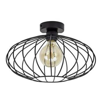 Plafonski luster EARTH L 1xE27/60W/230V