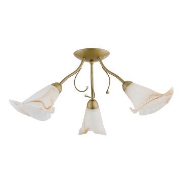 Plafonski luster MARCELLO 3xE14/10W230V zlatna