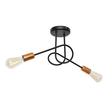 Plafonski luster OXFORD 2xE27/15W/230V crna