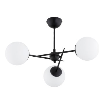 Plafonski luster PRIMERY 3xE14/10W/230V crne boje