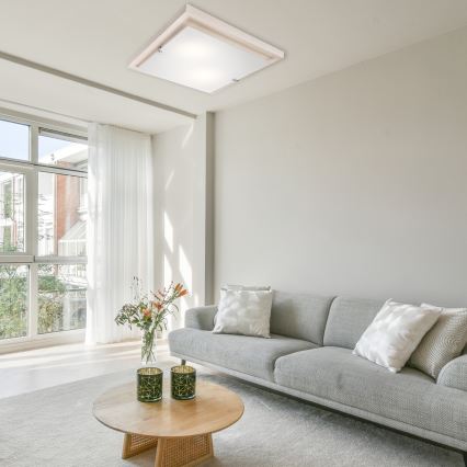 Plafonska svetiljka 1xE27/60W/230V buk