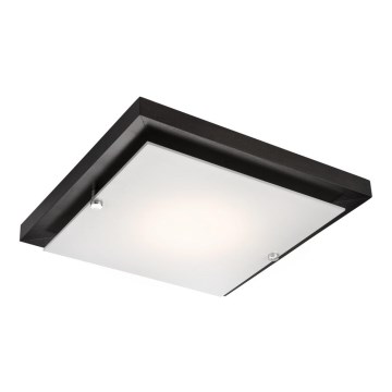 Plafonsko svetlo 1xE27/60W/230V od bora