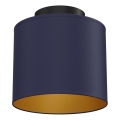 Plafonsko svetlo ARDEN 1xE27/15W/230V, prečnik 18 cm, plavo