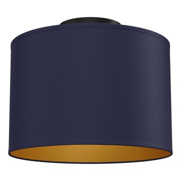 Plafonsko svetlo ARDEN 1xE27/15W/230V prečnik 25 cm plavo
