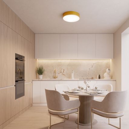 Plafonsko svetlo CLEO 1xE27/24W/230V Ø 20 cm zlatno