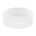 Plafonsko svetlo DANTE 1xE27/60W/230V, prečnik 26 cm, belo