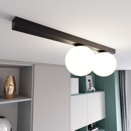 Plafonsko svetlo FIT 2xE14/10W/230V crna/bela