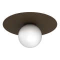 Plafonsko svetlo FLAT 1xE27/15W/230V 55x60 cm braon