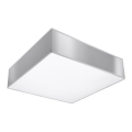Plafonsko svetlo HORUS 35 2xE27/60W/230V sivo