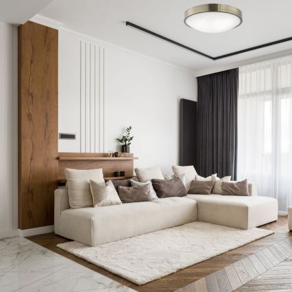 Plafonsko svetlo JONAS 2xE27/60W/230V, prečnik 36 cm, patina