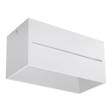 Plafonsko svetlo LOBO 2xG9/40W/230V belo