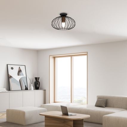 Plafonsko svetlo MERIDIANO 1xE27/60W/230V