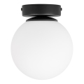 Plafonsko svetlo MOONLIGHT 1xE27/15W/230V prečnika 16 cm crno