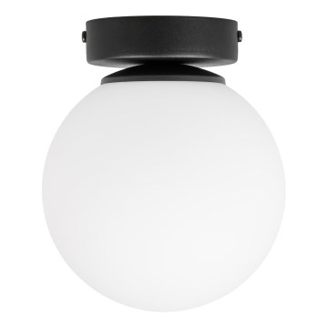 Plafonsko svetlo MOONLIGHT 1xE27/15W/230V prečnika 16 cm crno