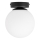 Plafonsko svetlo MOONLIGHT 1xE27/15W/230V prečnika 16 cm crno