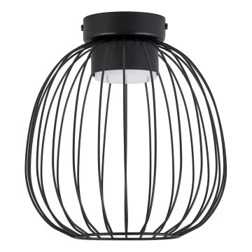 Plafonsko svetlo OVELLA 1xGX53/10W/230V prečnika 25 cm crno