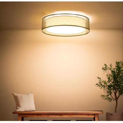 Plafonsko svetlo PURO, 2xE27/40W/230V, prečnik 50 cm, zeleno