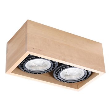 Plafonsko svetlo QUATRO AR111 2xGU10/40W/230V bukva