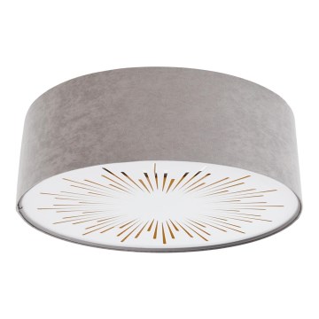 Plafonsko svetlo RAYS 2xE27/60W/230V, prečnik 60 cm, sivo