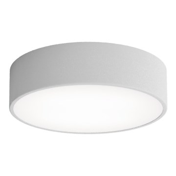 Plafonsko svetlo sa senzorom pokreta i sumraka CLEO 2xE27/24W/230V prečnik 30 cm siva