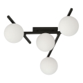 Plafonsko svetlo SMART 4xE14/10W/230V crno/belo