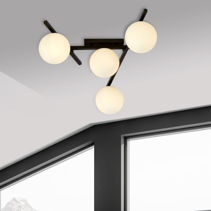 Plafonsko svetlo SMART 4xE14/10W/230V crno/belo