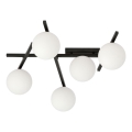 Plafonsko svetlo SMART 5xE14/10W/230V crno/belo