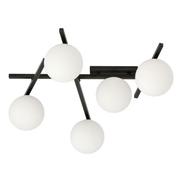 Plafonsko svetlo SMART 5xE14/10W/230V crno/belo