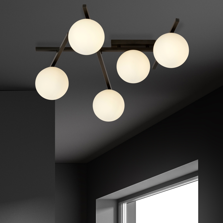 Plafonsko svetlo SMART 5xE14/10W/230V crno/belo