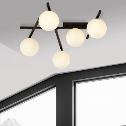 Plafonsko svetlo SMART 5xE14/10W/230V crno/belo