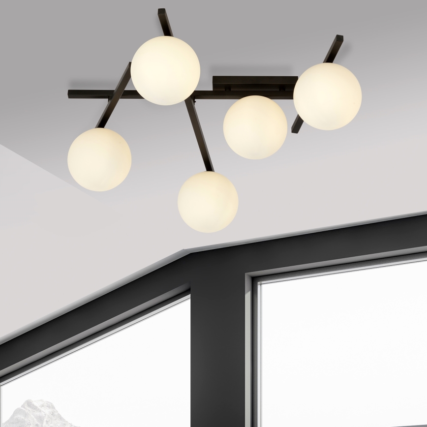 Plafonsko svetlo SMART 5xE14/10W/230V crno/belo