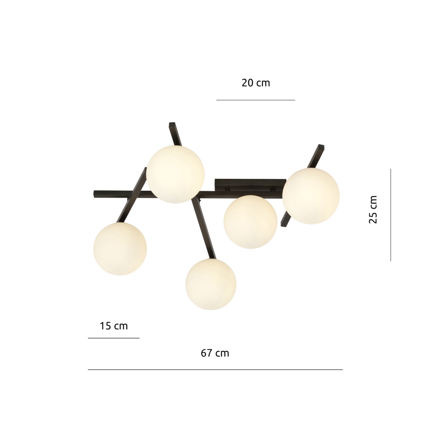 Plafonsko svetlo SMART 5xE14/10W/230V crno/belo