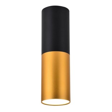 Plafonsko svetlo TUBA 1xGU10/15W/230V