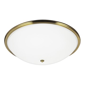 Plafonsko svetlo VIOLA 3xE27/40W/230V