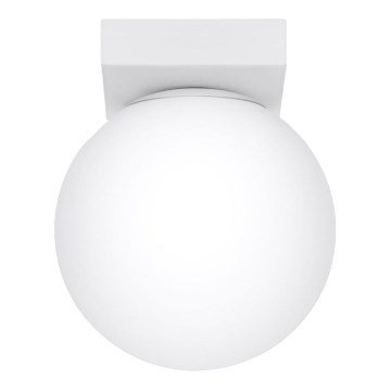 Plafonsko svetlo YOLI 1xG9/12W/230V belo