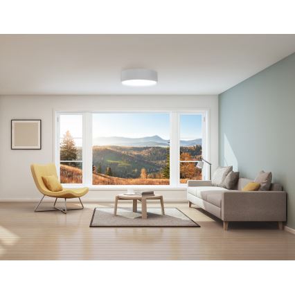 Plafonsko svetlo za kupatilo CLEO 2xE27/24W/230V prečnika 30 cm belo IP54