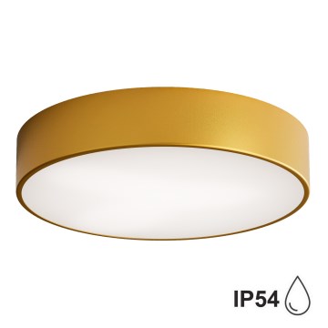 Plafonsko svetlo za kupatilo CLEO, 3x E27, 24W, 230V, prečnik 40 cm, zlatno, IP54