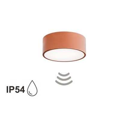 Plafonsko svetlo za kupatilo sa senzorom CLEO 1xE27/24W/230V, prečnik 20 cm, IP54, bakreno